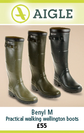 Aigle Benyl M Wellington