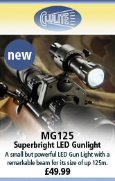 Clulite MG125 Superbright LED Gunlight