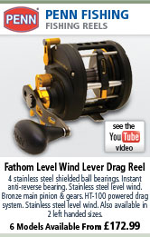 Penn Fathom Level Wind Lever Drag Reel