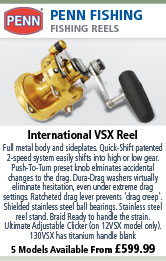 Penn International VSX Reel