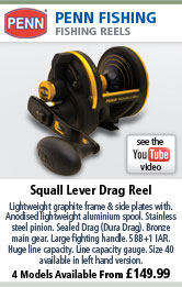 Penn Squall Lever Drag Reel