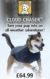 Ruffwear Cloud Chaser
