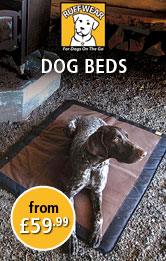 Ruffwear Dog Beds