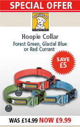 Ruffwear Hoopie Collar Special Offer
