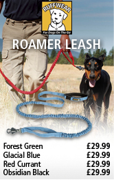 Ruffwear Roamer Leash