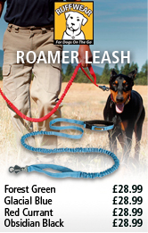 Ruffwear Roamer Leash