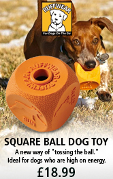 Ruff Square Ball Dog Toy