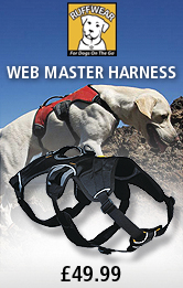 Ruffwear Web Master Harness
