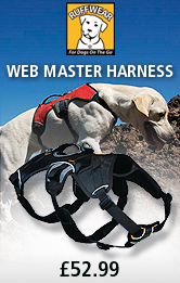 Ruffwear Web Master Harness