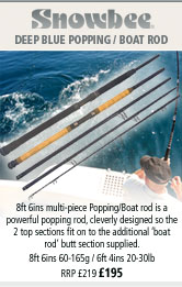 Snowbee Deep Blue Popping / Boat Rod