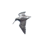 A R Brown Woodcock Pewter Pin Badge