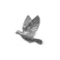 A R Brown Woodpigeon Pewter Pin Badge