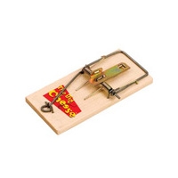 Big Cheese Baited RTU Mouse Trap (2 Pack)