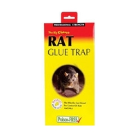 Big Cheese Rat Glue Trap