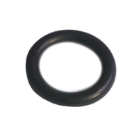 BSA Black O Ring for S/10