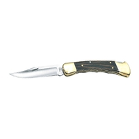 Buck Knives B110FG Folding Hunter Knife