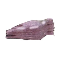 East Anglian 12 Pigeon Decoy Shells and Pegs