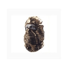 Hunters Specialties Nylon Head Net
