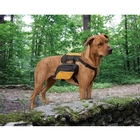 Kurgo Wander Pack