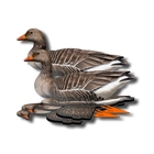 NRA Greylag Goose Fold Up Decoy (FUD 6 Pack)
