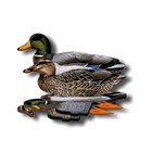 NRA Mallard Fold Up Decoy (FUD 6 Pack)
