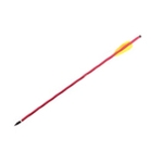Petron 14 inch Crossbow Bolts