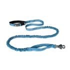Ruffwear Roamer Leash