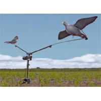 Seeland Pigeon Carousel Compact