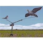 Seeland Pigeon Carousel Compact