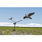 Seeland Pigeon Carousel Compact