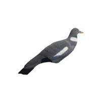Seeland Pigeon Shell (Flocked)