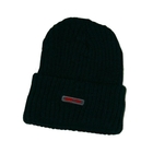Skee-Tex North Pole Thinsulate Lined Thermal Hat