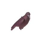 Sportplast Crow/Rook Decoy with Feet