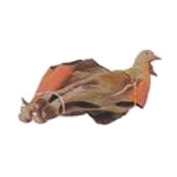 Sportplast Easy Fold Wood Pigeon Decoy