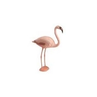 Sportplast Flamingo Decoy