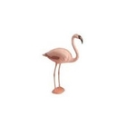 Sportplast Flamingo Decoy
