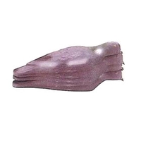 Sportplast High Detail Pigeon Shell Decoy