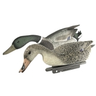 Sportplast Mallard Feeding Decoy