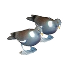 Sportplast Pigeon Decoy with Legs