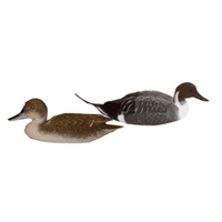 Sportplast Pintail Decoy