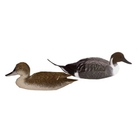 Sportplast Pintail Decoy