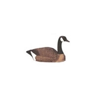 Sportplast Semi-Collapsible Canada Geese Decoys