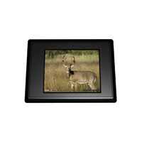 SpyPoint Photo / Video Viewer