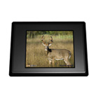 SpyPoint Photo / Video Viewer