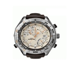Timex E-Altimeter Watch