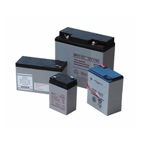 Tracer Tracer Sealed Lead Acid Battery Module