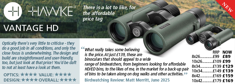 Hawke Vantage HD Binoculars Birdwatching Review