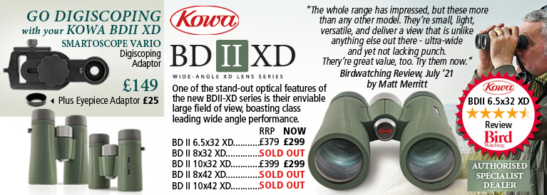 Kowa BD II XD Wide angle XD Line Binoculars
