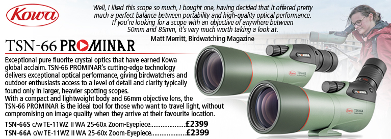 Kowa TSN-66 Prominar Angled or Straight Complete with with TE-11WZ II WA 25-60x Zoom Eyepiece