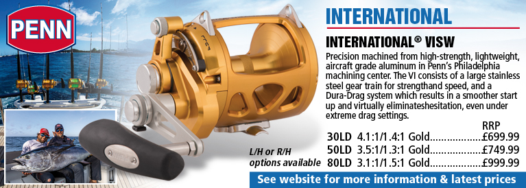 Penn International VISW Reel